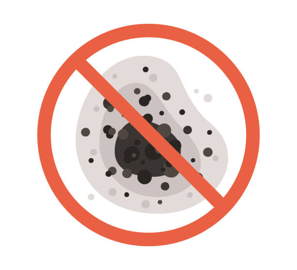 Pearsall, TX Mold Removal Pros